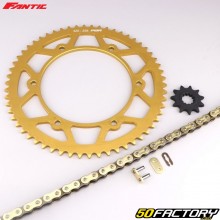 Kit catena rinforzata 11x58x136 Fantic XE, XM 50 (dal 2021) oro