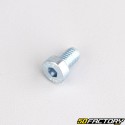 Tornillo cabeza baja BTR 6x10 mm (individualmente)