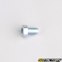 Tornillo cabeza baja BTR 6x10 mm (individualmente)