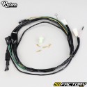 Elektrischer Kabelbaum Peugeot 103 SPX,  RCX, Clip... identisch mit dem Original (5-Draht-Ausgang, originaler weißer Stecker) Restone