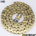 Collegamenti 520 rinforzati con catena 106 Afam MX6 oro