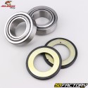 Steuersatz / Lenkkopflager Yamaha YZF-R1, R6, FJR 1300, Suzuki GSX-R 1000 ... All Balls