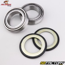 Rolamentos da coluna de direção Honda CBR 1000RR, Kawasaki ER-6N, Z1000... All Balls
