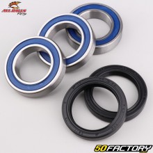 Rolamentos da roda traseira e vedações Yamaha YZF 250 (desde 2009), 450 (desde 2014), Fantic XXF 250 de 450... All Balls