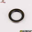 Selo de óleo e anel de pinhão de saída da caixa de câmbio KTM SX 125 (2001 - 2014), EXC 250, EXC-F 450 (desde 2017)... All Balls