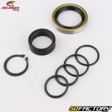 Anel de pinhão de saída da caixa de câmbio e retentor de óleo KTM EXC 250, 300 (antes de 2017)... All Balls