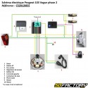 Elektrischer Kabelbaum Peugeot 103 Vogue VS2 (seit 2004) Restone