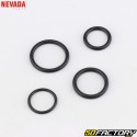 Kit de reparo de carburador Briggs-Stratton 08P502, 093J02, 09P602, 09P702... Nevada