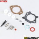 Briggs-Stratton Quantum, Max Nevada Carburetor Repair Kit