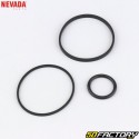 Briggs-Stratton Quantum, Max Nevada Carburetor Repair Kit