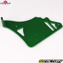 Tapa de piñón de aluminio AM6 Minarelli KRM Pro Ride (con tope de varilla de embrague) verde