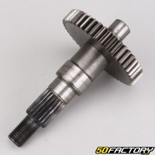 Hinterradwelle Peugeot TKR,  Vivacity, Ludix, Speedfight...