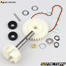 Bomba de agua Derbi Euro 3 y 4 101 octanos (kit de reparación)
