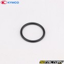 Intake Pipe Shim O-Ring Kymco Vitality, MXU, Maxxer 50 2T