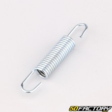 60mm Exhaust Spring with Fixed Hooks (Single)