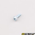 Tornillo carcasa robot cortacésped cabeza torx 4x12 mm Husqvarna, Gardena, McCulloch...