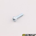 Vite alloggiamento robot rasaerba 4x16 mm testa torx Husqvarna, Gardena, McCulloch...
