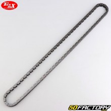 Catena di distribuzione Suzuki  GSF 600 Bandito, 650, GSX 750...Giro massimo