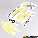 Dekor kit Peugeot 103 RCX  X  Race grau und gelb