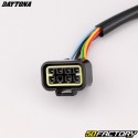 Electrical harness Daytona 150