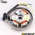 Polos de encendido del estator 12V 4 con sensor y platino Peugeot 103 RCX,  SPX, SP ... Restone