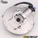 Polos de encendido del estator 12V 4 con sensor y platino Peugeot 103 RCX,  SPX, SP ... Restone