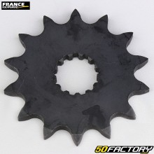 Piñón de salida de caja de 14 dientes 520 Yamaha YZF 450, YFZ 450, Fantic XX 250, XXF 450... France Equipement