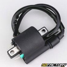 Bobina de encendido MBK Nitro 50, Yamaha Xmax 125, Majesty 400 ...