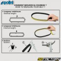 Honda SH 125, 150 belt Euro 5 (since 2020) 24.2x955 mm Polini