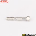 Banjo brake screw Ø6x1.00 mm bicycle Elvedes silver