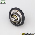 Thermostat Aprilia Pegaso 660, Yamaha MT-03, XT 660 Z Ténéré... MTE-Thomson