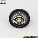 Thermostat Aprilia Pegaso 660, Yamaha MT-03, XT 660 Z Ténéré... MTE-Thomson