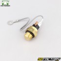 Sensor de temperatura Honda CB 500, CB 600 F Hornet, CBR 900 RR Firelâmina... MTE-Thomson