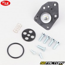 Kawasaki ER-5 (2001 - 2005) Max Tour Fuel Tap Repair Kit