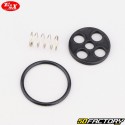 Kawasaki ER-5 (2001 - 2005) Max Tour Fuel Tap Repair Kit