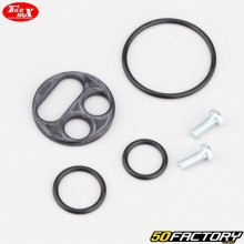 Fuel tap repair kit Kawasaki ZZR 600, KLX 650, ZXR 750...Lap Max