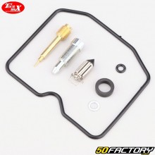 Carburetor repair kit Triumph Bonneville 800, America 865, Sprint 900...Lap Max