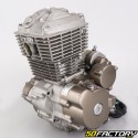 Complete engine 156 FMI Zontes F 125 Scorpion (2017 - 2021)