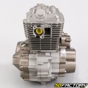 Complete engine 156 FMI Zontes F 125 Scorpion (2017 - 2021)