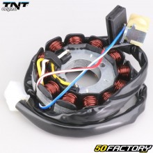Ignition Stator  AM6 Minarelli 12 coils (without deck) TNT Original