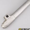 Paioli recht gabelarm Beta RR 50 (2004 - 2010) Renoviert