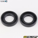 Crankshaft seals Derbi Teknix