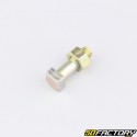 Parafuso de coroa de aro raiado de 6x20 mm Peugeot 103, MBK 51, Motobécane... (conjunto de 6)