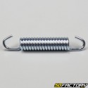 Molla del silenziatore Fifty 53 mm