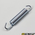 Molla del silenziatore Fifty 53 mm