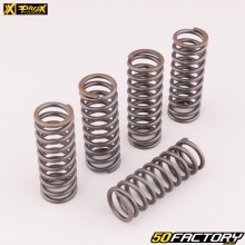 Molle frizione rinforzate Honda CRF 250 R (dal 2022), Suzuki RM-Z (dal 2010)... ProX