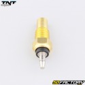 Sonda di temperatura secondaria Generic Trigger,  Ride,  Hanway, Keeway ... TNT Original