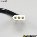 Estator 4 12V polos (sin sensor) Peugeot 103 RCX,  SPX,  FOX...Tecnix