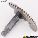 Perno di spinta (65 mm) 1PE40QMB TNT Motor, Keeway, Generic...50 2T Teknix