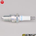 Spark plug NGK BPR8ES (fixed olive) (BPR8EIX Iridium equivalence)